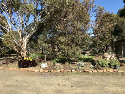 Beeâ€™s Place - 3 Bedroom Home On 10 Acres Of Land With Distant Ocean Views - Internet Find 15