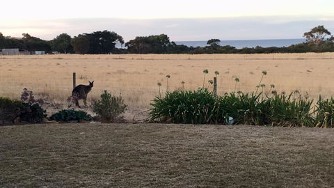 Beeâ€™s Place - 3 Bedroom Home On 10 Acres Of Land With Distant Ocean Views - Internet Find 23