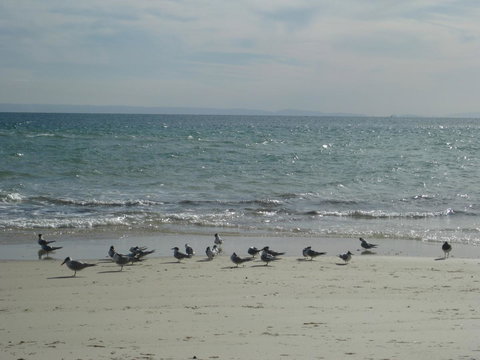 Beachfront Holiday Apartment To Rent For Short And Long Stays - Internet Find 30