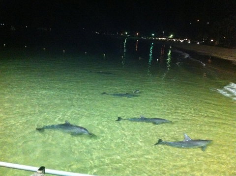 Beachfront Holiday Apartment To Rent For Short And Long Stays - Internet Find 29