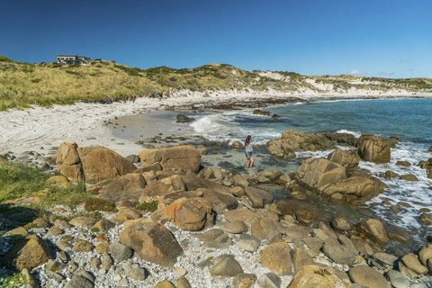 Porky Beach Retreat - King Island Escapes - Internet Find 13