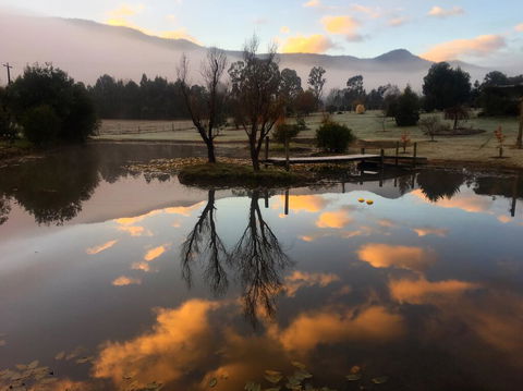 Acheron Acres Riverside - Internet Find 2