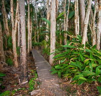 Agnes Palms Accommodation - Internet Find