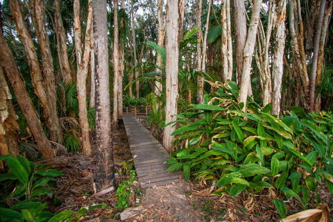 Agnes Palms Accommodation - Internet Find 0