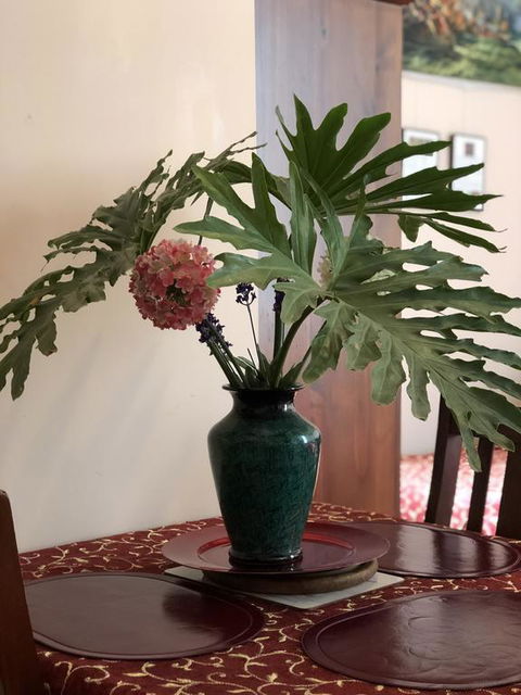 Albany Foreshore Guest House - Internet Find 3
