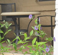 Amalie Cottage Waikerie - Internet Find