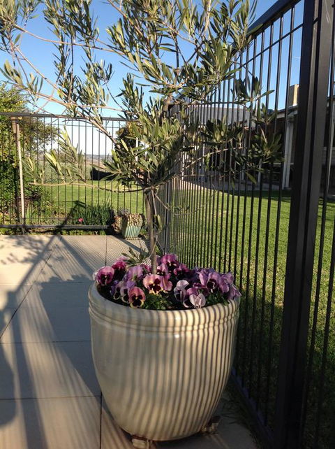 Amazing Views Pet Friendly Bed And Breakfast - Internet Find 3