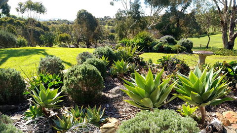 Austiny Bed And Breakfast Victor Harbor - Internet Find 2
