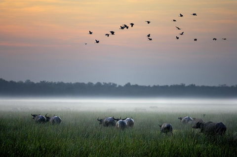 Bamurru Plains - Internet Find 0