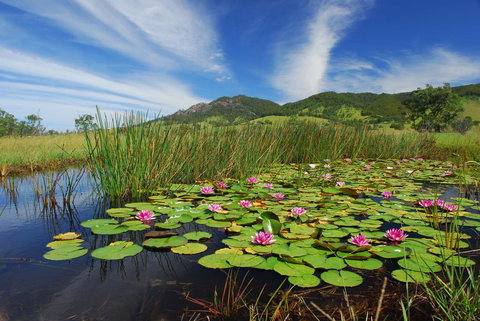 Barrington Hideaway- River Cottages - Internet Find 0