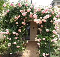 Baudins of Busselton Bed and Breakfast - Internet Find