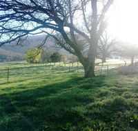 Bay Creek Guest House - Internet Find