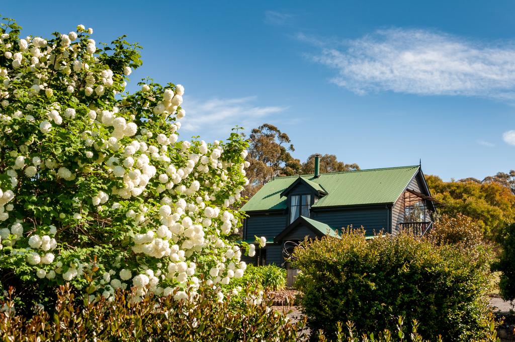 Judbury TAS Internet Find