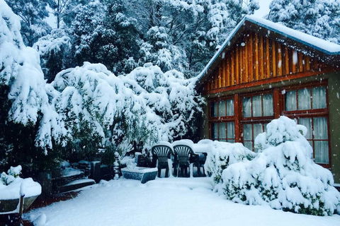 BEAUTIFUL RETREAT - 20 Mins To CBD And Only 10 Mins To MONA! - Internet Find 0