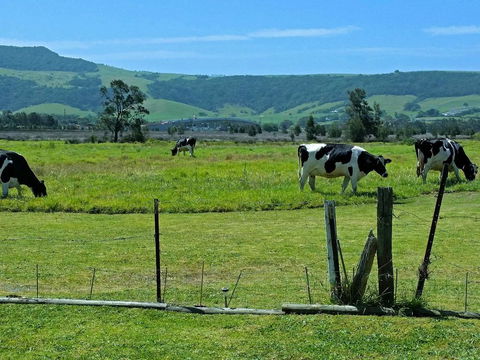 Bella Vista - Internet Find 3