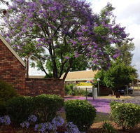 Belvoir Village Motel  Apartments Wodonga - Internet Find