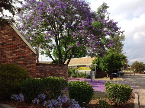 Belvoir Village Motel & Apartments Wodonga - Internet Find 0