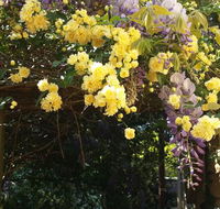 Bowral Road Bed and Breakfast - Internet Find