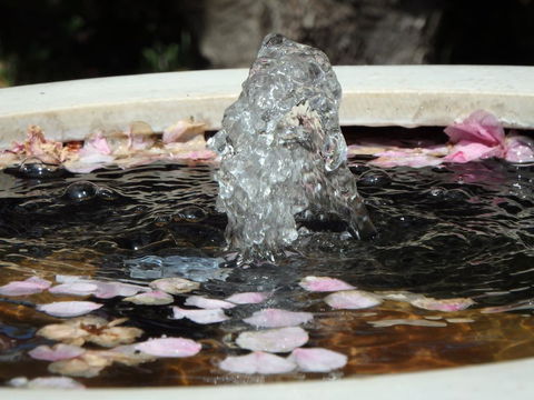 Bowral Road Bed And Breakfast - Internet Find 2