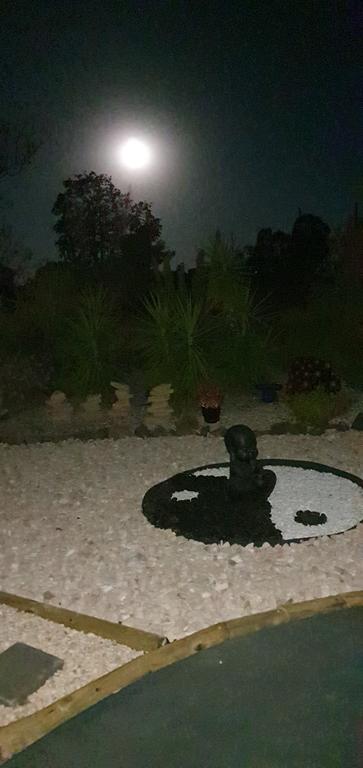 Birdhouse Cottage B&B - Internet Find 1