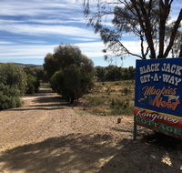 Black Jack Get-A-Way Magpies Nest - Internet Find
