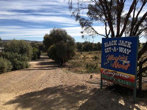 Black Jack Get-A-Way Magpies Nest - Internet Find 0