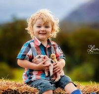 Blackwattle Farm - Internet Find