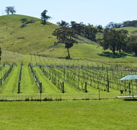 Blue House at Mountainside Wines - Internet Find