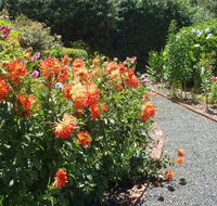 Boat Harbour Garden Cottages - Internet Find