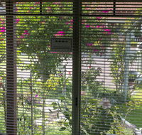 Busselton Marina Bed and Breakfast - Internet Find