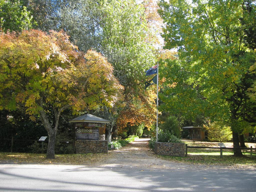 Germantown VIC Internet Find
