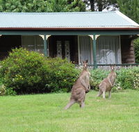 Cedar Lodge Cabins - Internet Find