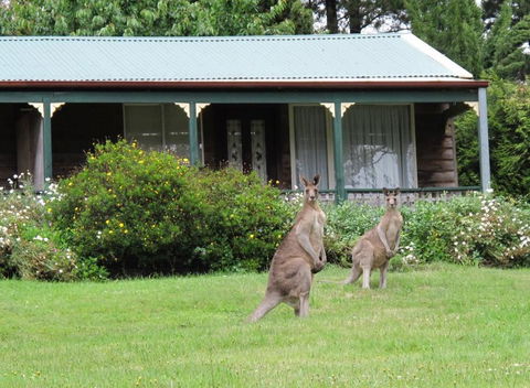 Cedar Lodge Cabins - Internet Find 0