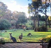 Countryside Retreat Spa Cottage Hepburn - Daylesford - Internet Find