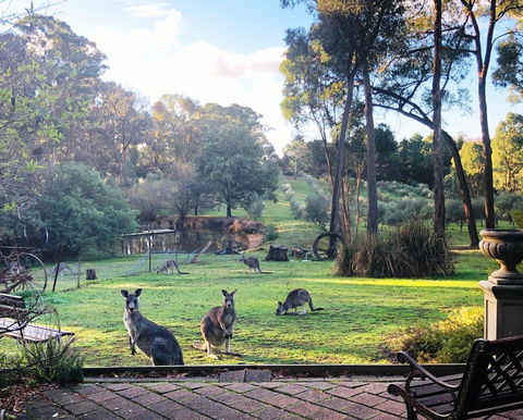 Countryside Retreat Spa Cottage Hepburn - Daylesford - Internet Find 0