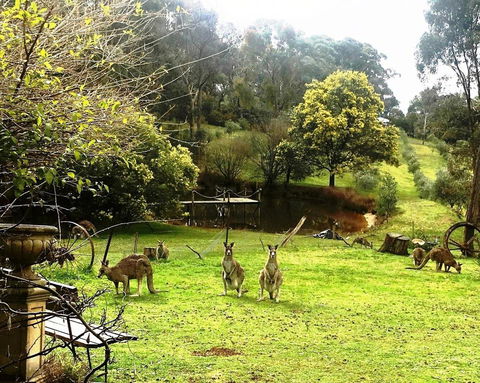 Countryside Retreat Spa Cottage Hepburn - Daylesford - Internet Find 1