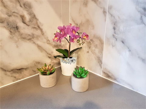 Cozy Duplex Home 3 Bdrms 1 Bath Sleeps 6 - Internet Find 2