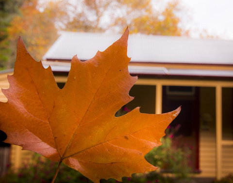Creek Cottage - Internet Find 3