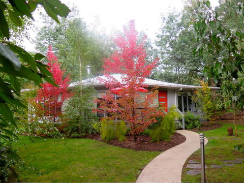 Dalrymples Guest Cottages - Internet Find 0