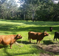 Dingley Dell - Internet Find