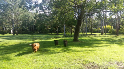 Dingley Dell - Internet Find 3