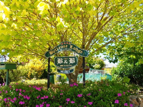 Eden Bed & Breakfast - Internet Find 0