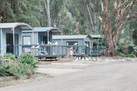 Eildon Pondage Holiday Park - Internet Find 3