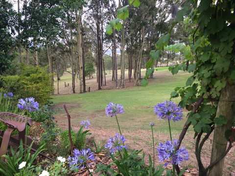 Elfin Hill Vineyard Accommodation - Internet Find 2