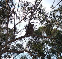 Escape to the Country - Enjoy the firepit or explore magical Bunya Mountains - Internet Find