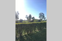 Business in Benalla ACT Internet Find Internet Find