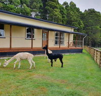 Farm Stay Lowana Strahan - Internet Find