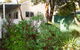 Farview Guest Accommodation - thumb 0