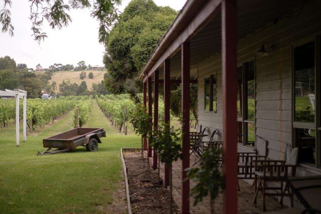 Steels Creek VIC Internet Find