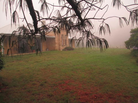 Ferndale B&B - Internet Find 1